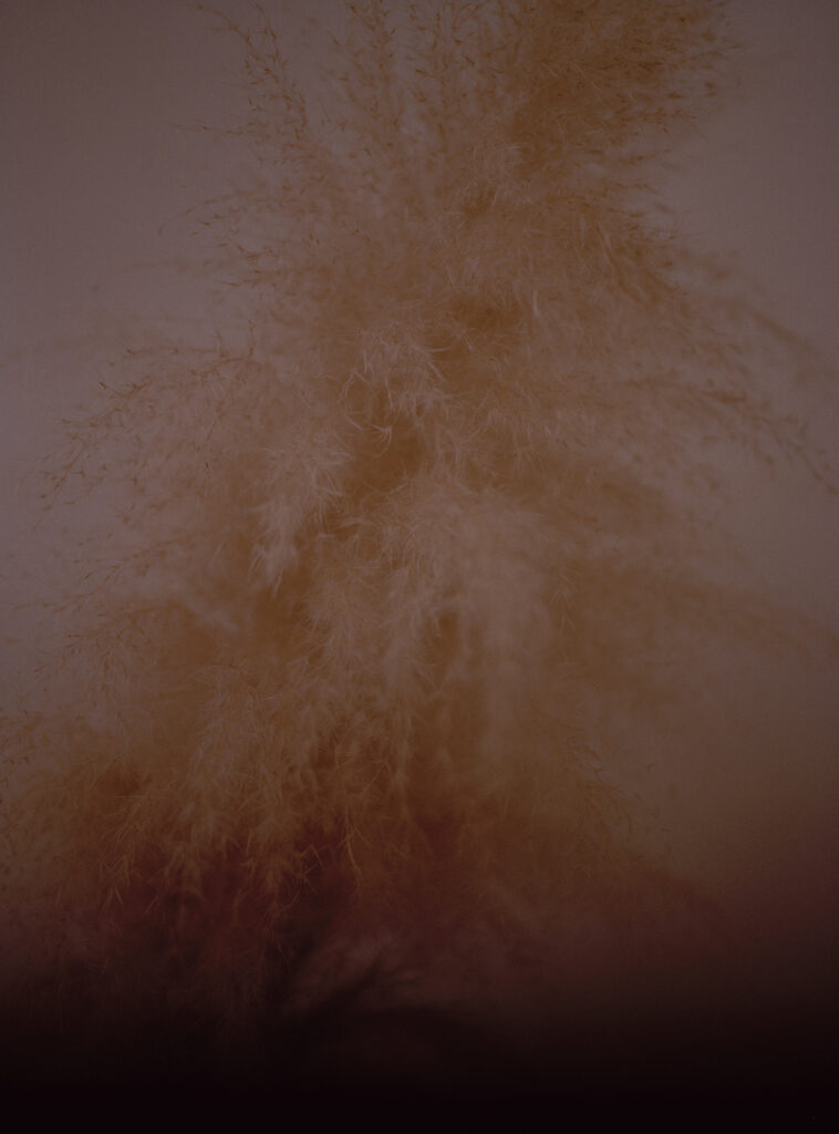 klinger i wish the waves are easy on you 3